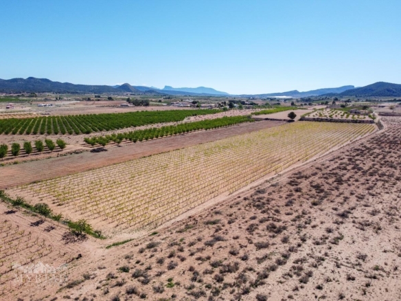 Land in &Uacute;beda (Ref: MP6614)