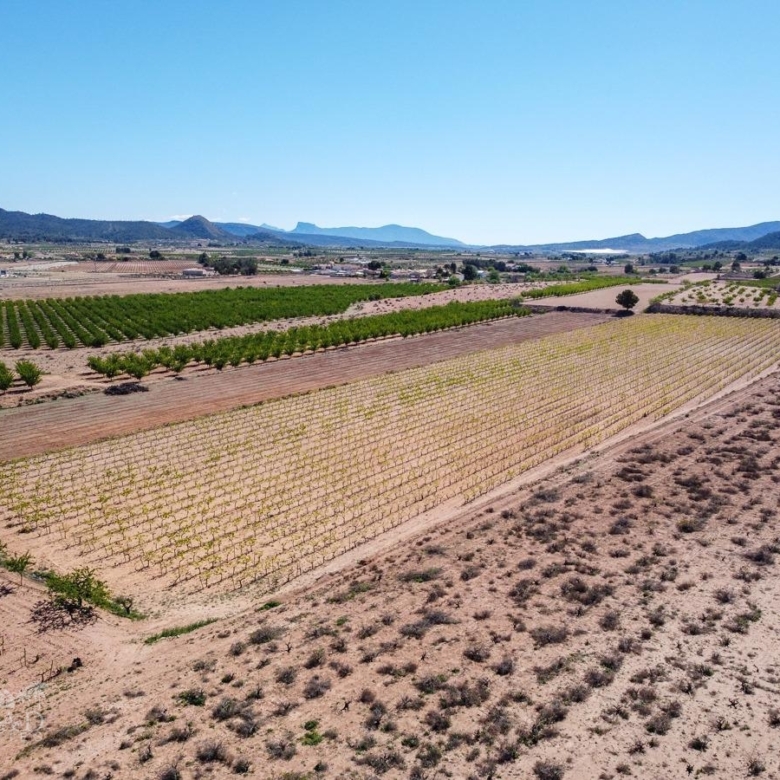 Land in &Uacute;beda (Ref: MP6614)
