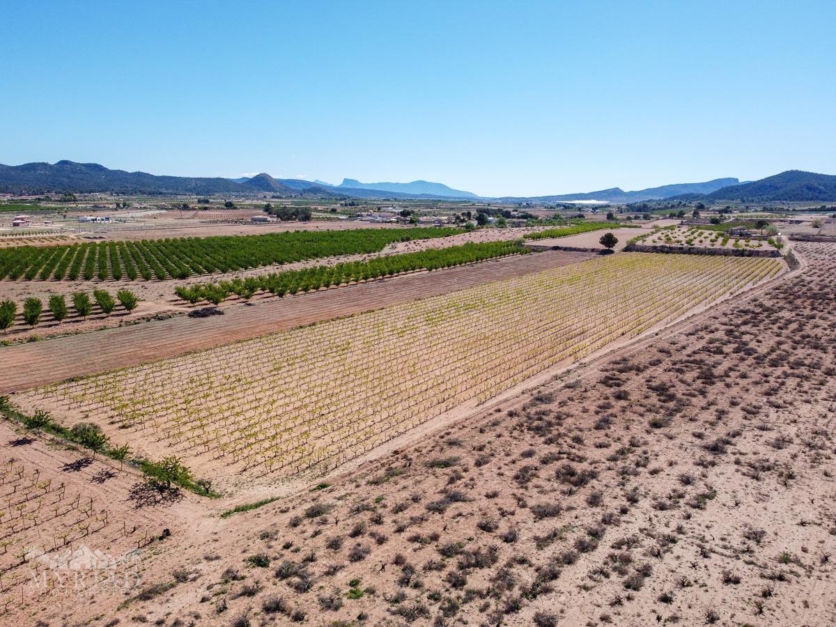 Land in &Uacute;beda (Ref: MP6614)