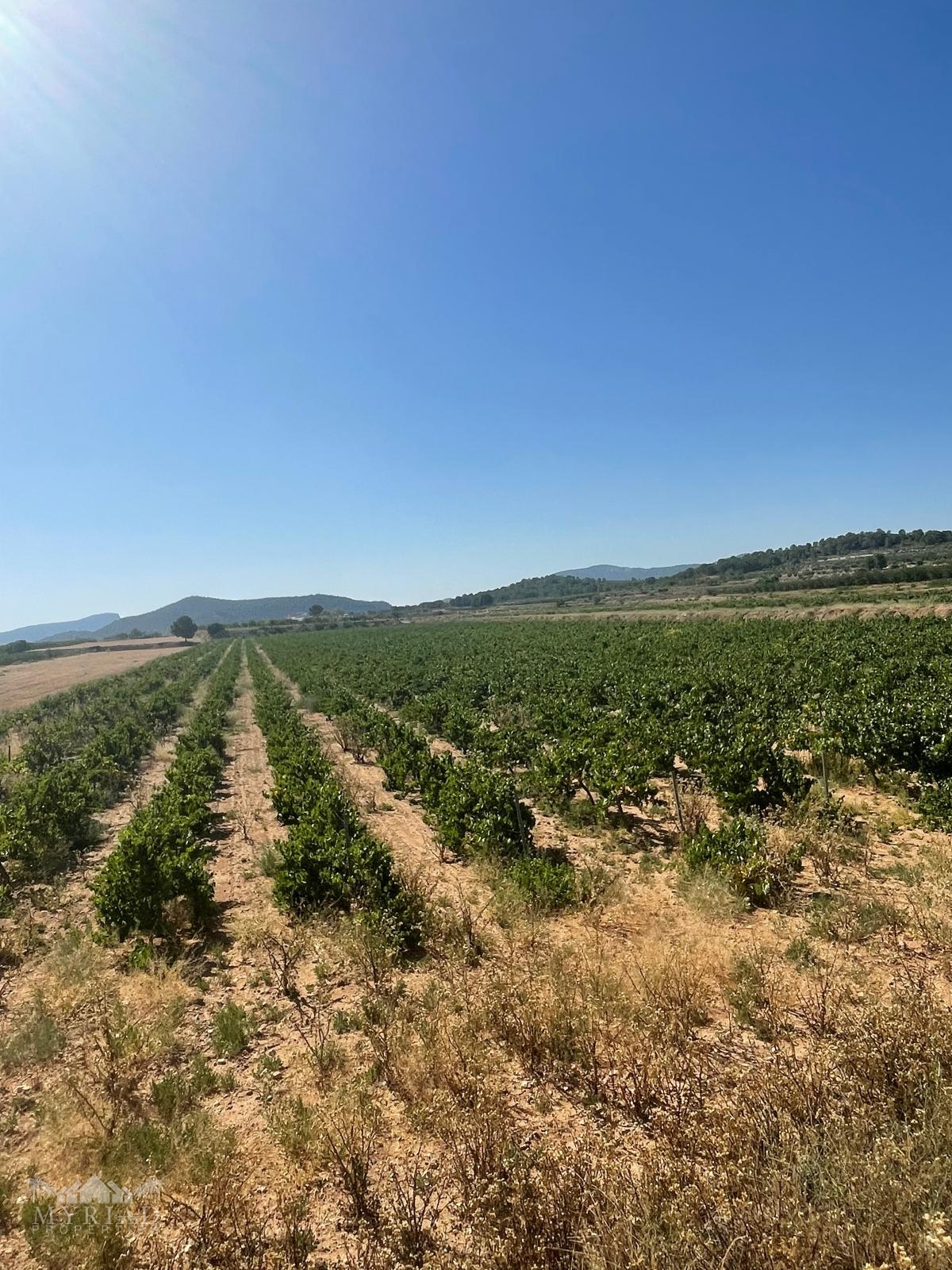 Land in &Uacute;beda (Ref: MP6614)