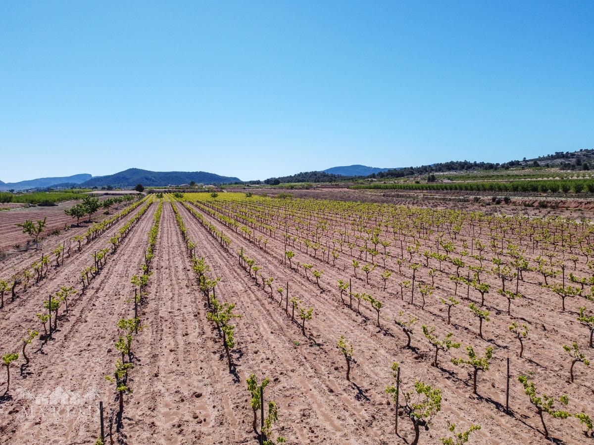 Land in &Uacute;beda (Ref: MP6614)