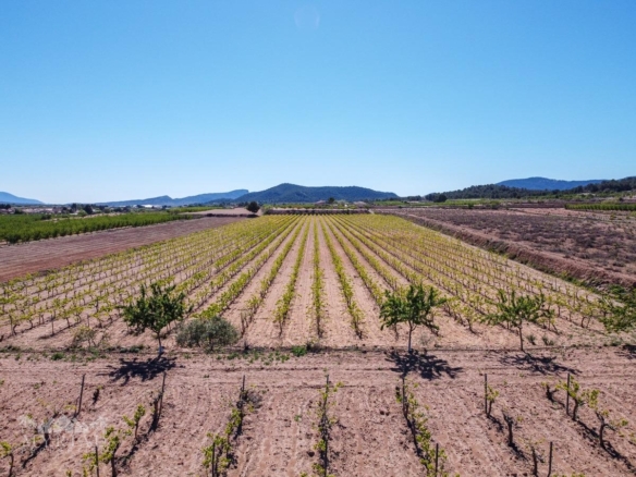 Land in &Uacute;beda (Ref: MP6614)