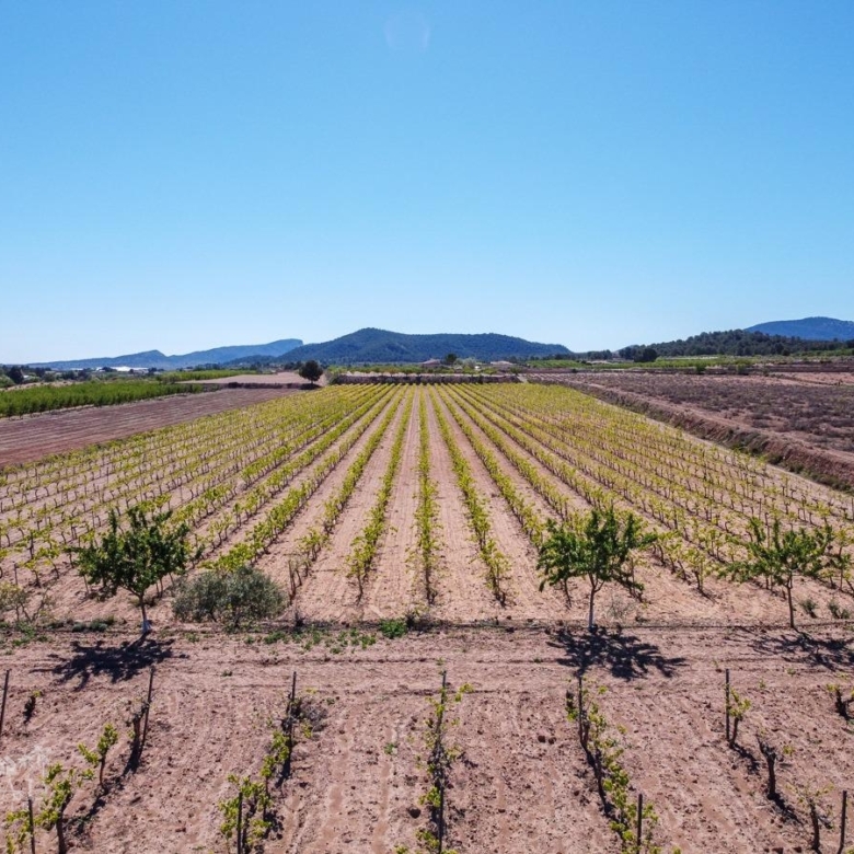 Land in &Uacute;beda (Ref: MP6614)