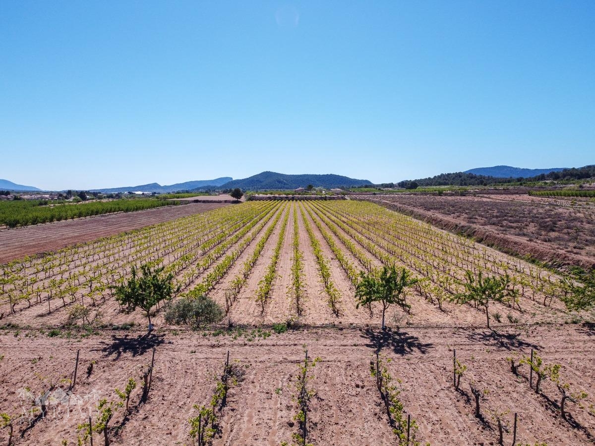 Land in &Uacute;beda (Ref: MP6614)