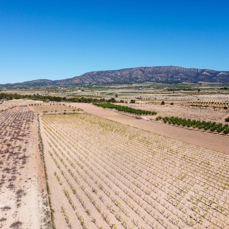 Land in &Uacute;beda (Ref: MP6614)