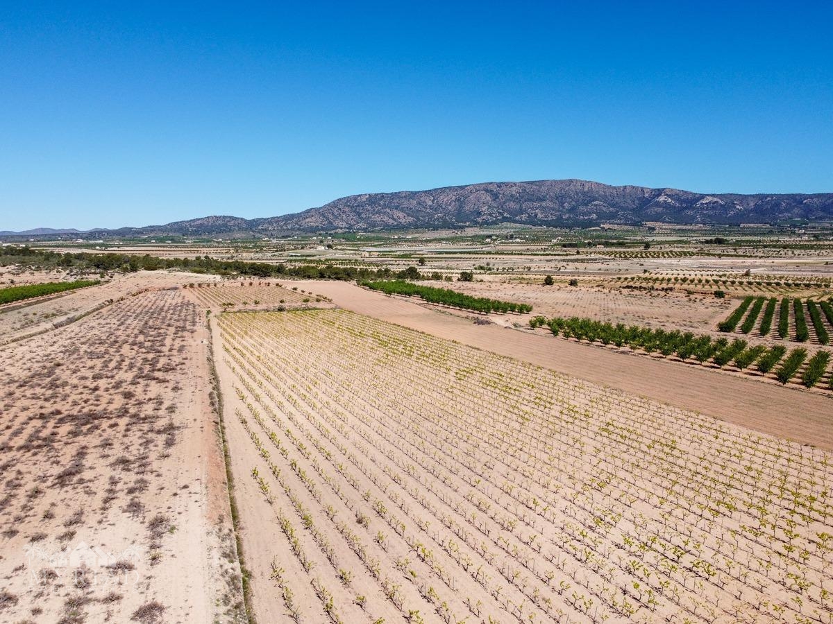 Land in &Uacute;beda (Ref: MP6614)