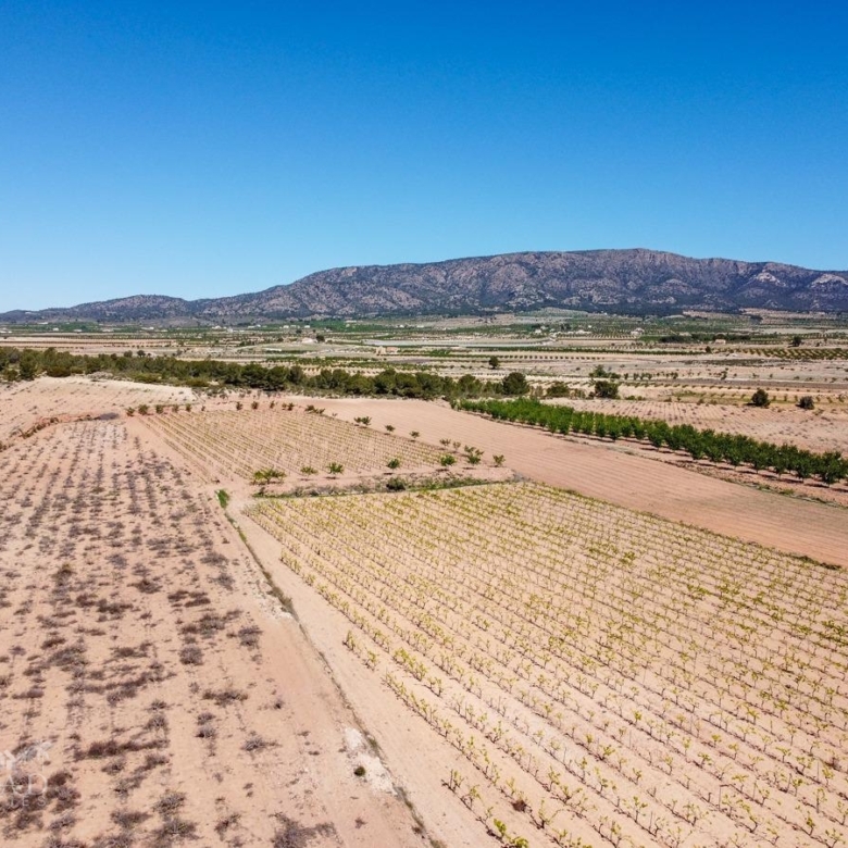 Land in &Uacute;beda (Ref: MP6614)