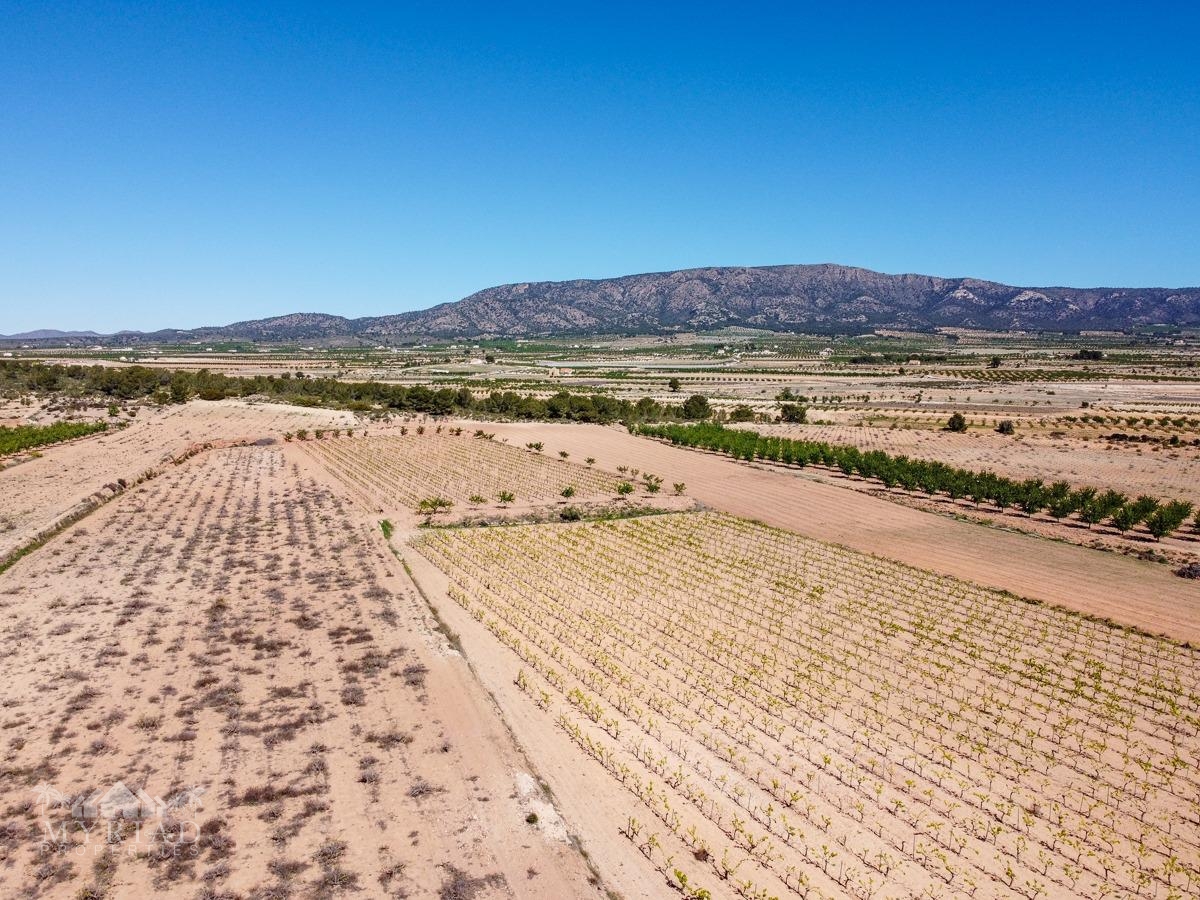 Land in &Uacute;beda (Ref: MP6614)