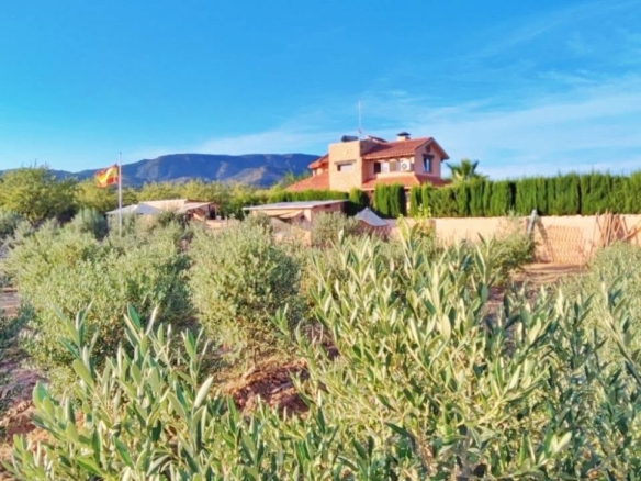 Country House in Pinoso (Ref: DOSI-3508)