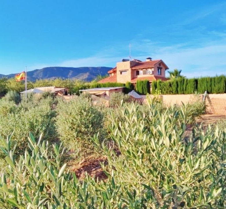 Country House in Pinoso (Ref: DOSI-3508)