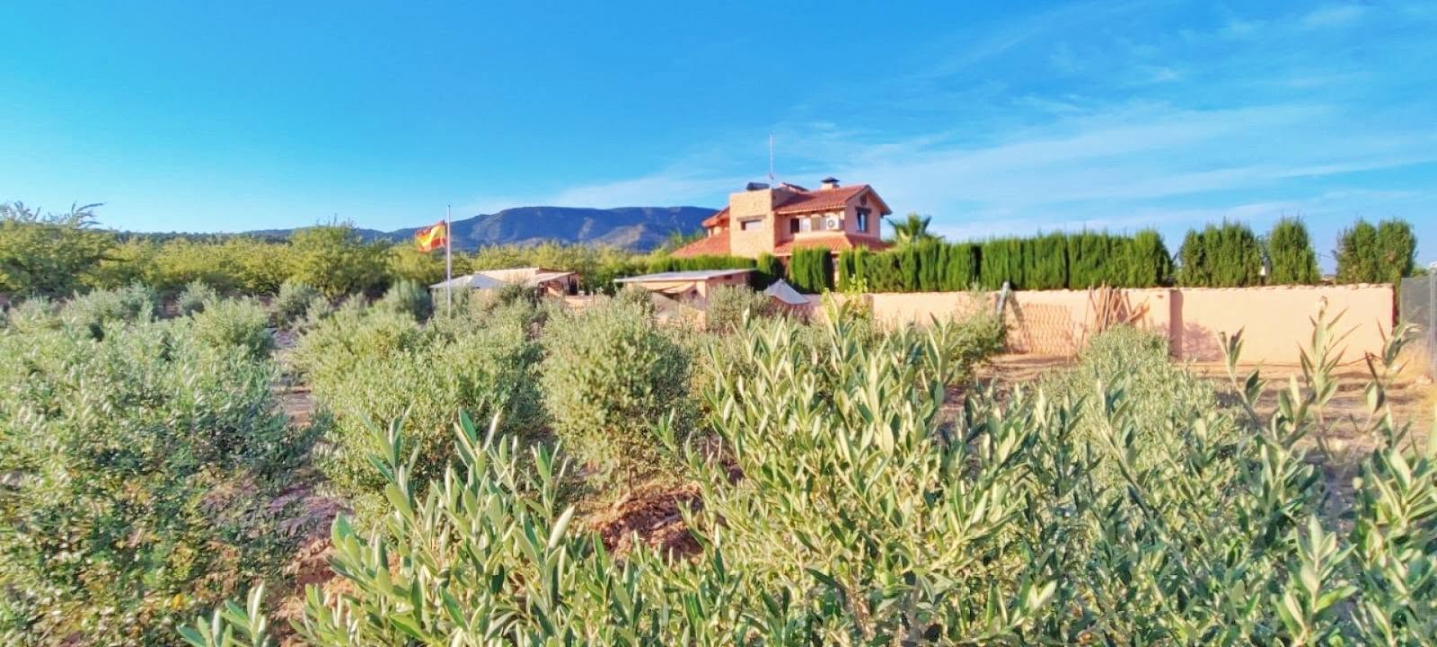 Country House in Pinoso (Ref: DOSI-3508)