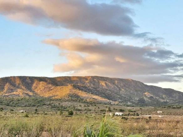 Country House in Pinoso (Ref: DOSI-3508)