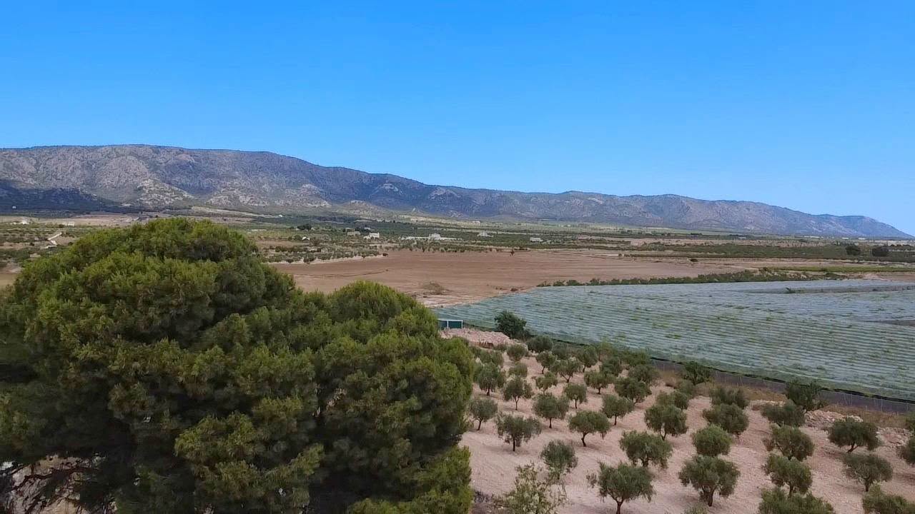 Country House in El Pinós (Ref: DOSI-3716)