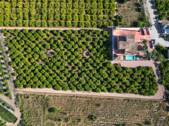 Finca – Country Property in Orihuela (Ref: BC-VIGRA)
