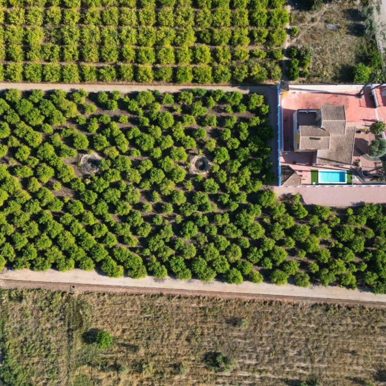 Finca – Country Property in Orihuela (Ref: BC-VIGRA)