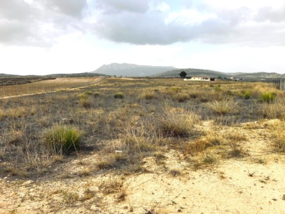 land in Torre del Rico (Ref: CC0548)