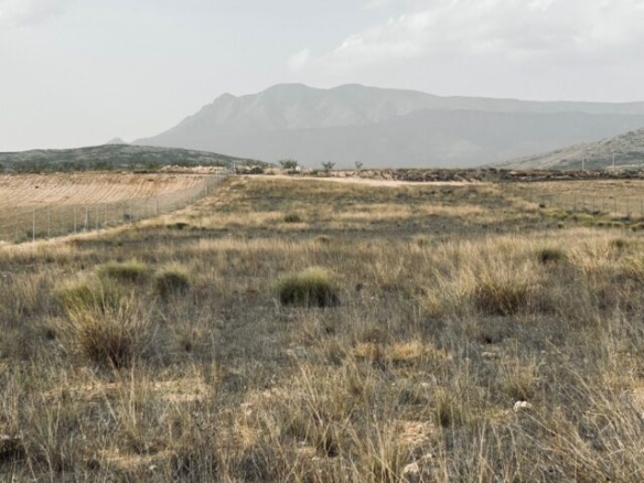 land in Torre del Rico (Ref: CC0548)