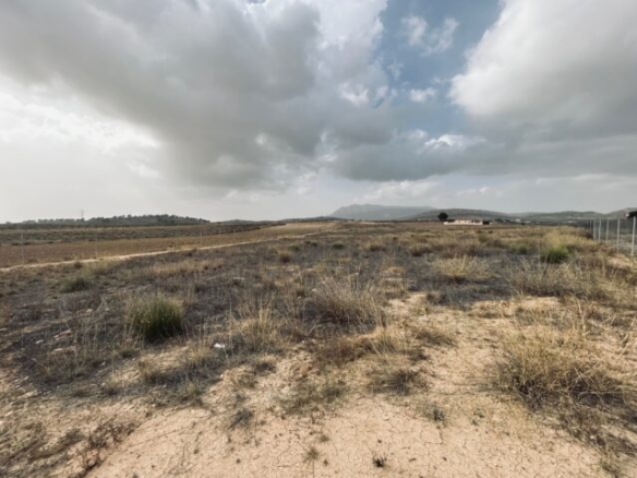 land in Torre del Rico (Ref: CC0548)