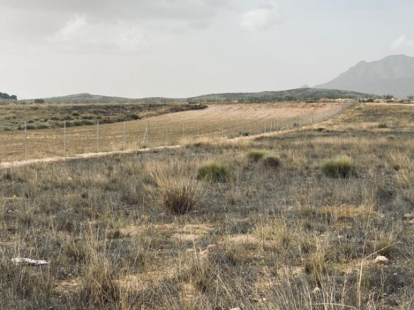 land in Torre del Rico (Ref: CC0548)
