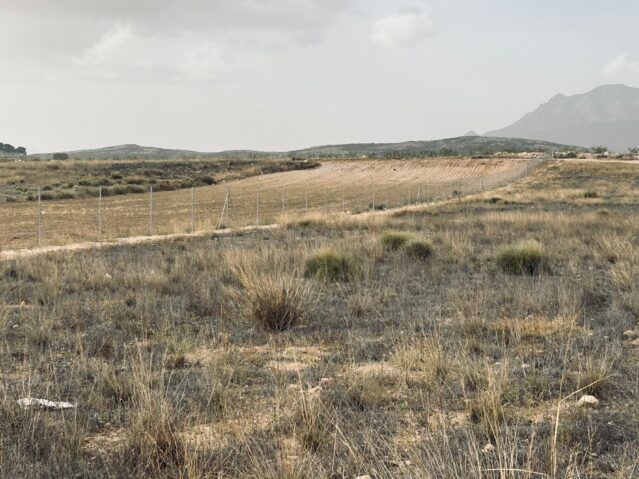 land in Torre del Rico (Ref: CC0548)