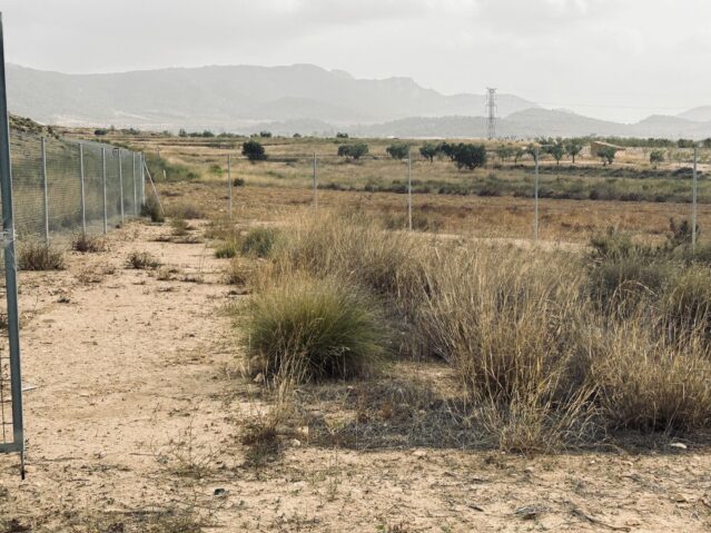 land in Torre del Rico (Ref: CC0548)