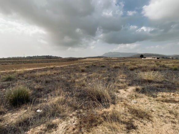 land in Torre del Rico (Ref: CC0548)