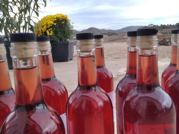 Bargain Property in Cañada del Trigo (Ref: DOSI-1227)