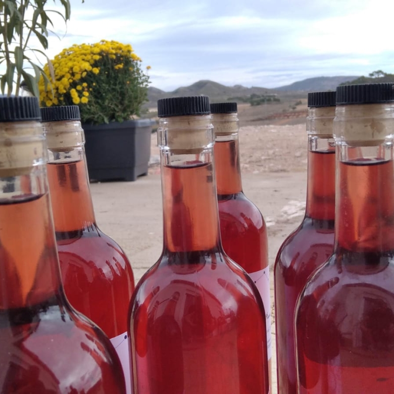Bargain Property in Cañada del Trigo (Ref: DOSI-1227)