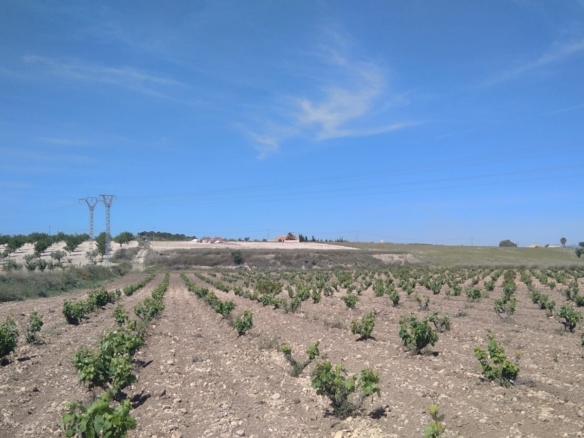 Bargain Property in Cañada del Trigo (Ref: DOSI-1227)