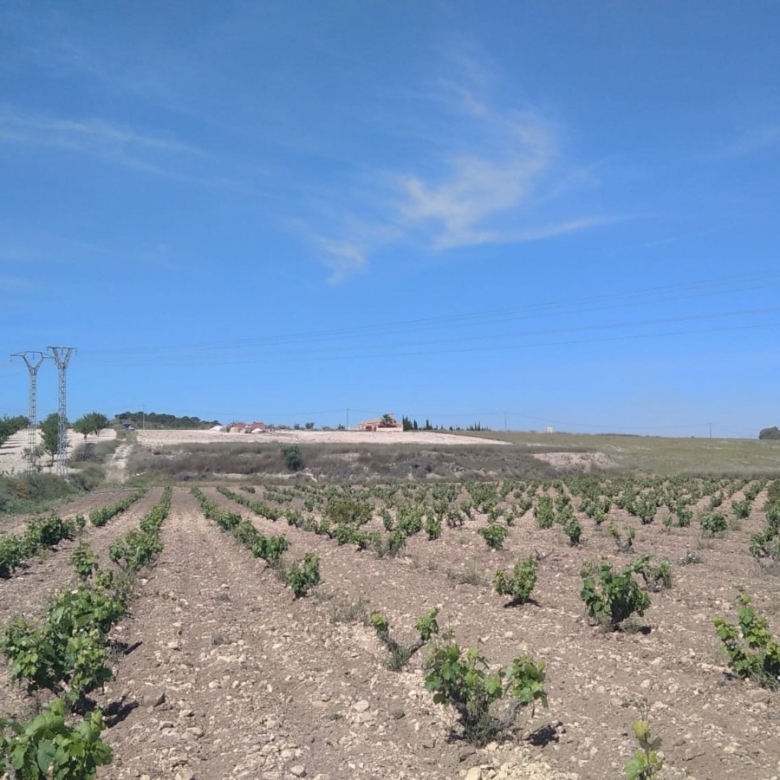Bargain Property in Cañada del Trigo (Ref: DOSI-1227)