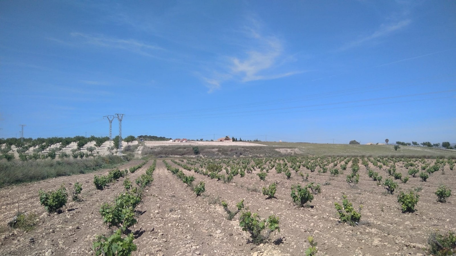 Bargain Property in Cañada del Trigo (Ref: DOSI-1227)