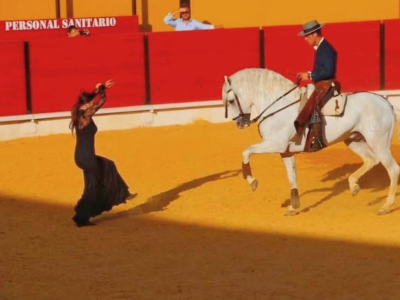 Business in la Vall d’Uixó (Ref: DOSI-888)