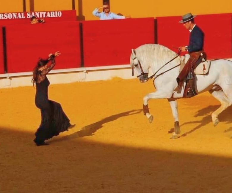 Business in la Vall d’Uixó (Ref: DOSI-888)