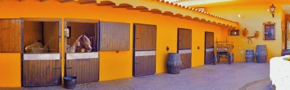 Business in la Vall d’Uixó (Ref: DOSI-888)