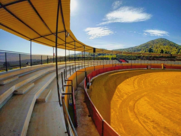 Business in la Vall d’Uixó (Ref: DOSI-888)