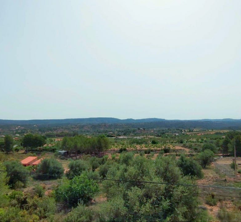 Business in Ayora (Ref: DOSI-1562)