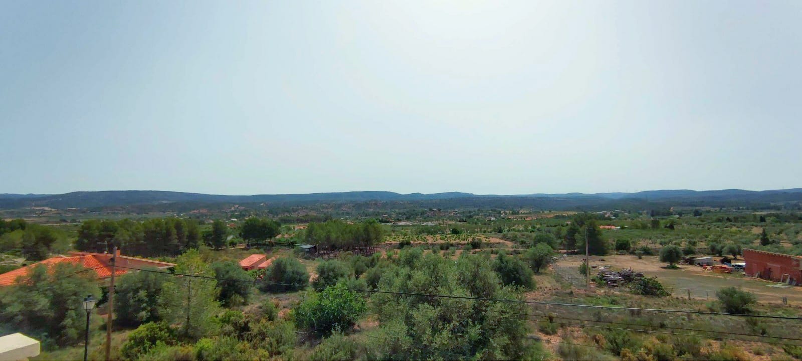 Business in Ayora (Ref: DOSI-1562)