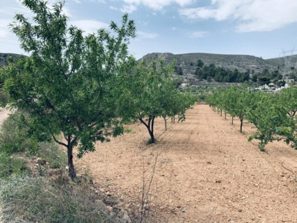 land in La Romana (Ref: CC0453)