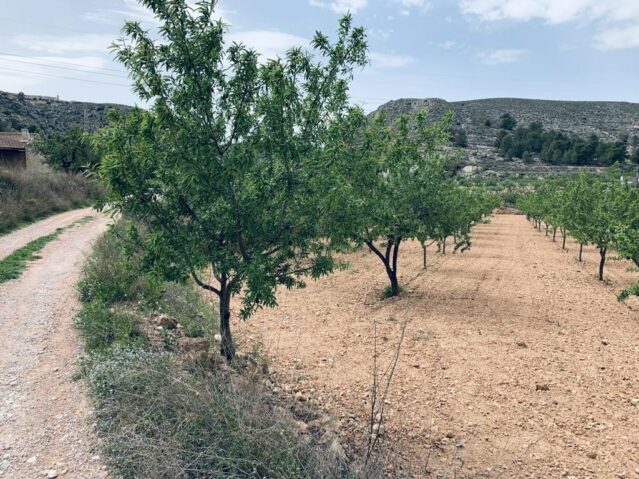 land in La Romana (Ref: CC0453)