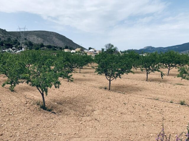 land in La Romana (Ref: CC0453)