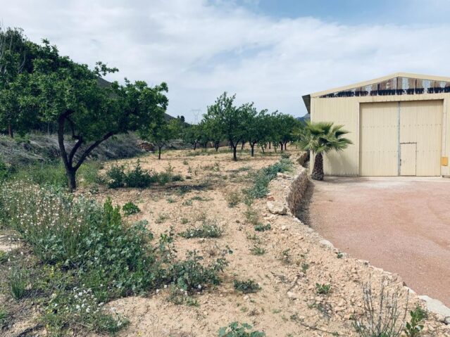 land in La Romana (Ref: CC0454)