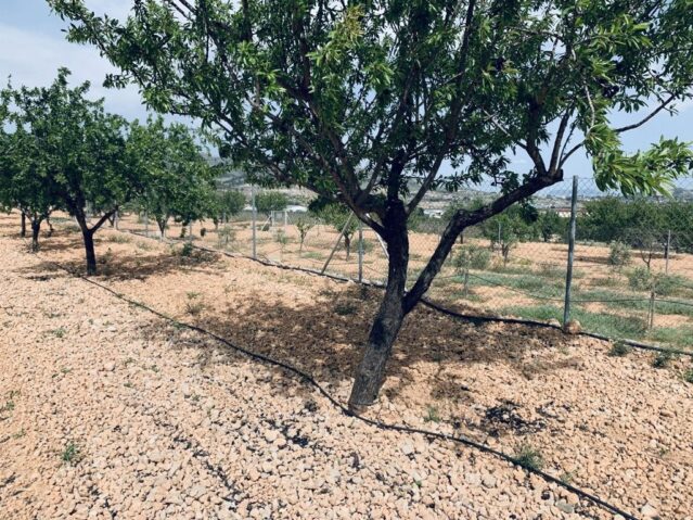 land in La Romana (Ref: CC0454)