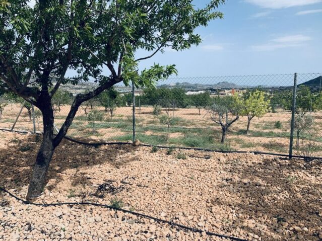 land in La Romana (Ref: CC0454)
