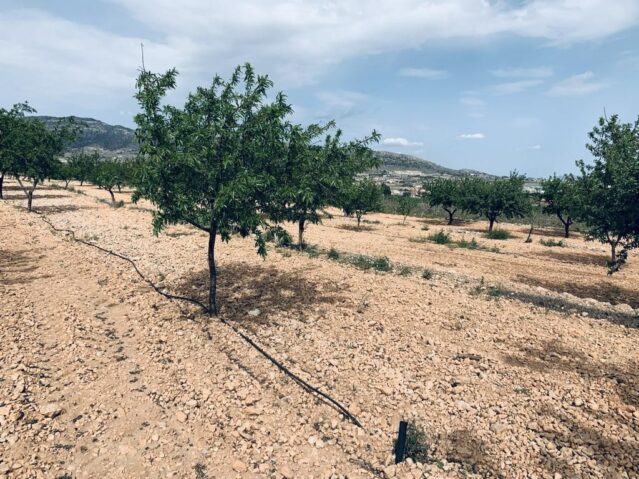 land in La Romana (Ref: CC0454)