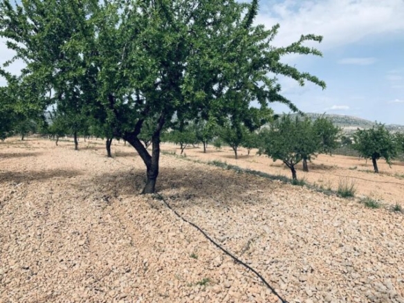 land in La Romana (Ref: CC0454)