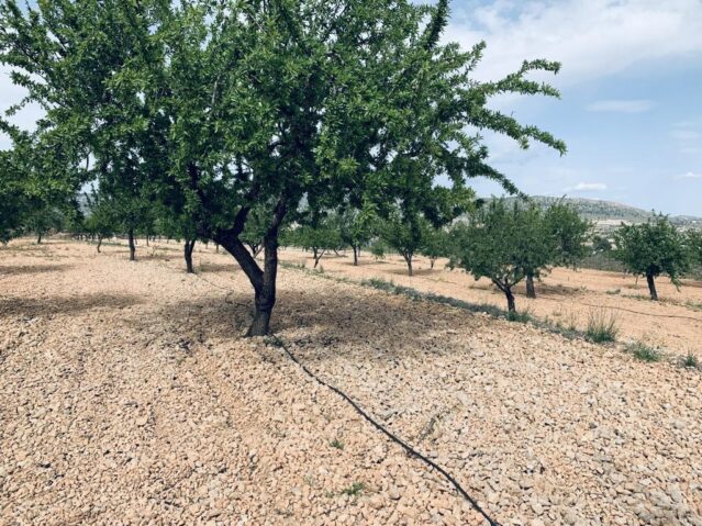 land in La Romana (Ref: CC0454)