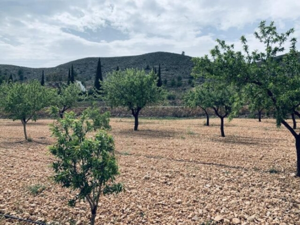 land in La Romana (Ref: CC0454)