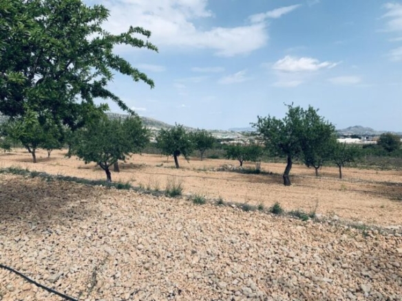 land in La Romana (Ref: CC0454)