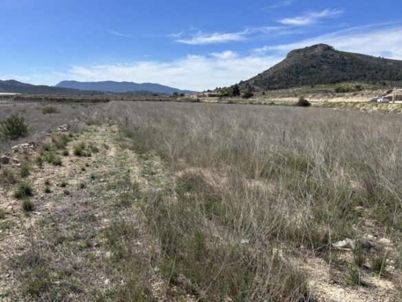 land in La Romana (Ref: CC0619)