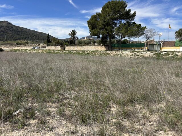 land in La Romana (Ref: CC0619)